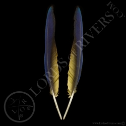 ara-bleu-paire-de-plumes-d-ailes-type-3-