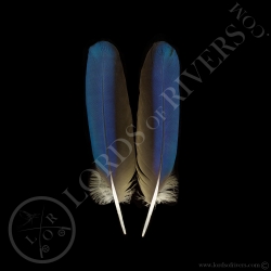 ara-bleu-paire-de-plumes-d-ailes-type-1-