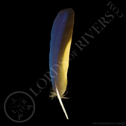 ara-bleu-plumes-d-ailes-type-5-lords-of-