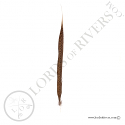 golden-pheasant-side-tail-full-feather-l