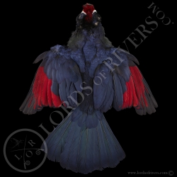 violet-turaco-full-skin-lords-of-rivers
