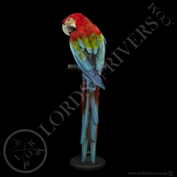 red-and-green-macaw-taxidermy-lords-of-r